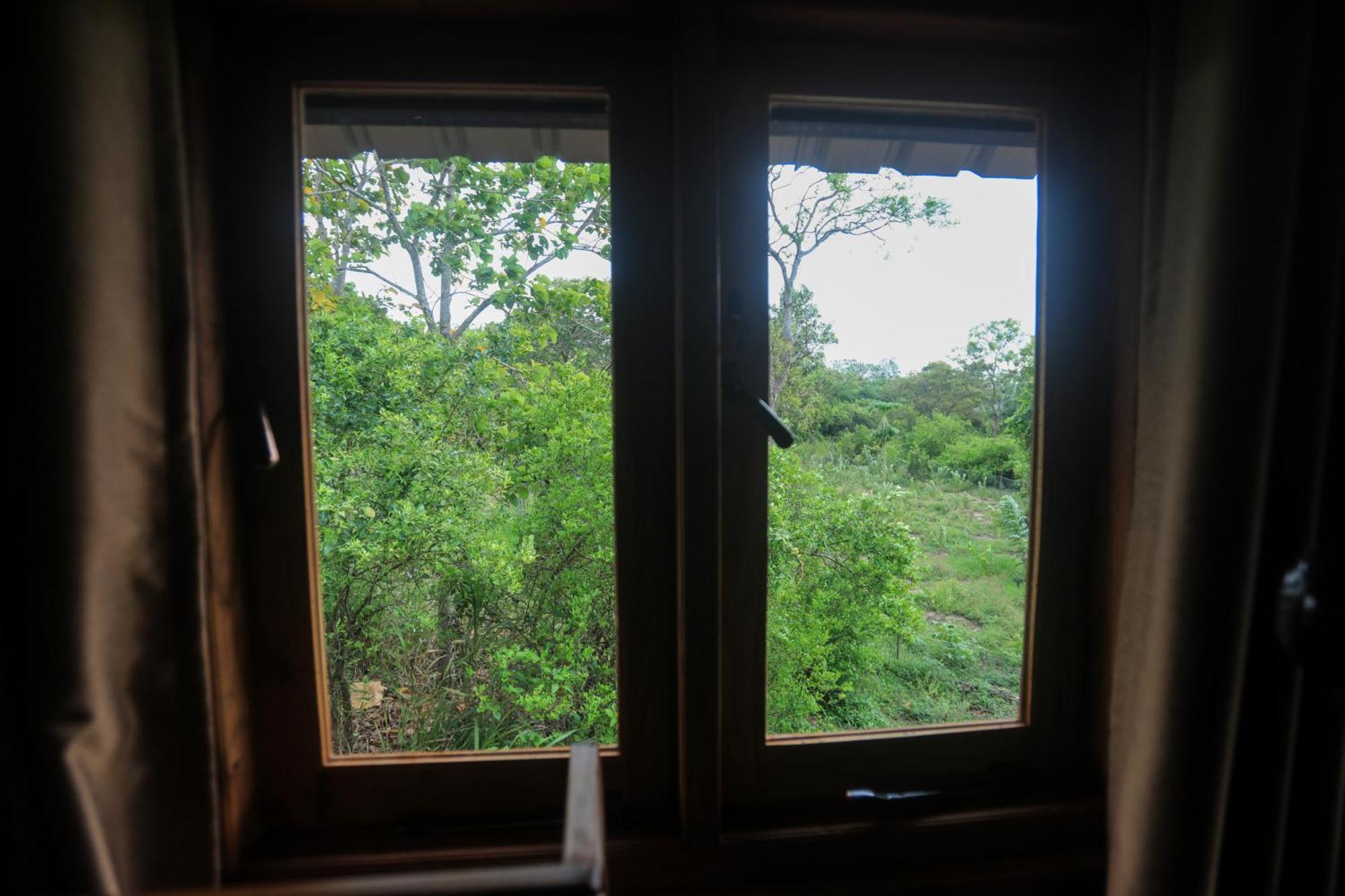 Villa Lion Wood Treehouse à Talkote Extérieur photo